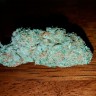 Семена ганжа  Auto Hell's Angel OG feminised Ganja Seeds